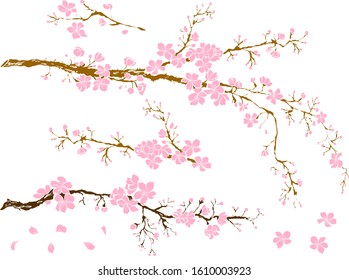 Branch Of Sakura Flower Vector For Printing On Background.Peach Blossom Illustration For Doodle Art.Cherry Blossom With Nature Background.Apricot Flower Set For Tattoo.Japanese Floral Collection.