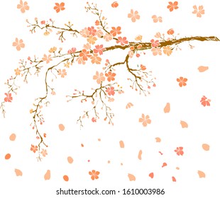 Branch of sakura flower vector for printing on background.Peach blossom illustration for doodle art.Cherry blossom with nature background.Apricot flower set for tattoo.Japanese floral collection.