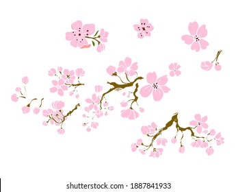 Branch of sakura flower vector for printing on background.Peach blossom illustration for doodle art.Cherry blossom with nature background.Apricot flower set for tattoo.Japanese floral collection.