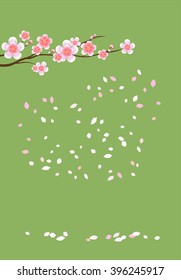 Branch of sakura with flowers. Cherry blossom branch with petals falling isolated on green. Vector