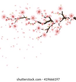 Branch of sakura with flowers. Cherry blossom branch with petals falling isolated on white. EPS 10 vector file included