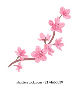 Branch with sakura flowers. Colorful spa cartoon vector illustration. Female character enjoying skincare, aroma therapy, facial and body massage and tools