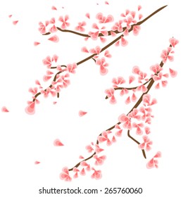 Branch with sakura flowers. Illustration in vector format