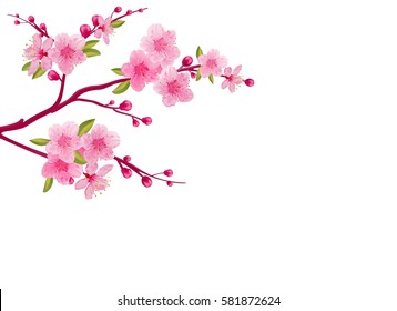 Watercolor Sakura Frame Background Blossom Cherry Stock Vector (Royalty ...
