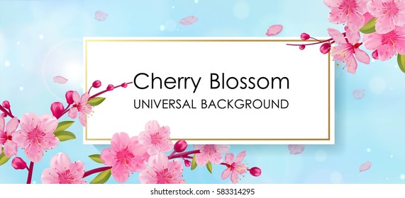 Branch of sakura with flowers and leaves on blue  background. Cherry blossom spring design.