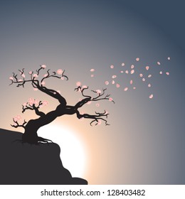 Branch of sakura tree blown by springtime wind with sunset sky