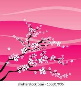 Branch of sakura tree blown by springtime wind with sunset sky