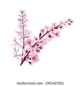 A branch of sakura. Vector illustration