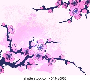 Branch of Sakura vector illustration