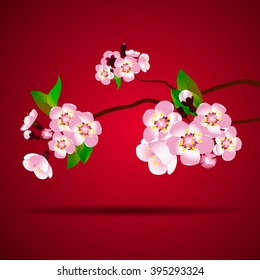 Branch of Sakura Vector Illustration