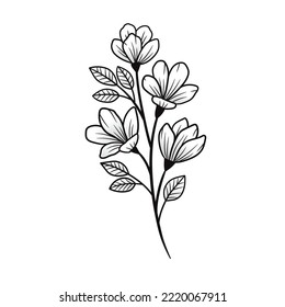 Branch sampaguita flower Hand-drawn vector illustration