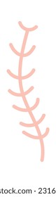 Branch Of Seaweed Vector Illustration