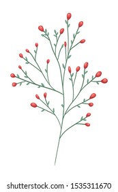 branch with seeds decorative icon vector illustration design