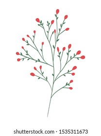 branch with seeds decorative icon vector illustration design