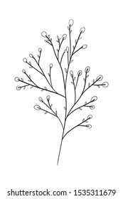 branch with seeds decorative icon vector illustration design