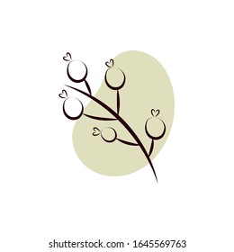 branch with seeds hand draw style vector illustration design