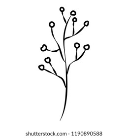 branch with seeds icon