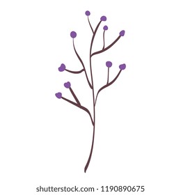 branch with seeds icon