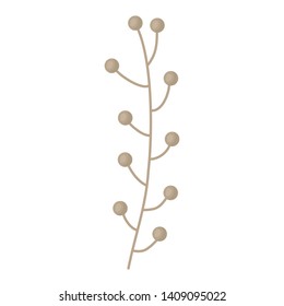 branch with seeds icon vector illustration