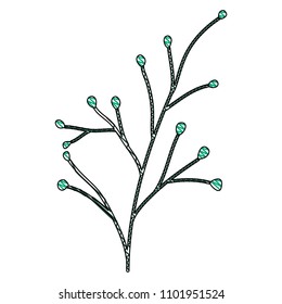 branch with seeds natural icon