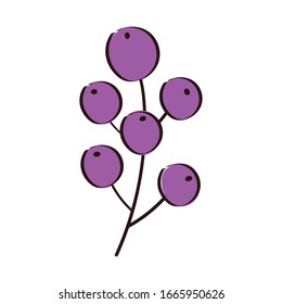 branch with seeds plant ecology hand draw style icon vector illustration design