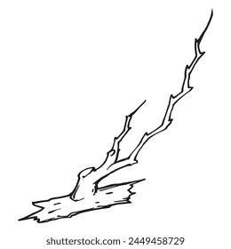 Branch separated from a tree, hand drawn outline illustration. One old branch single graphic drawing detail. Damaged plant simple pen drawing logo. Black and white aged rough wood original nature sign