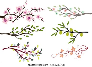 branch set color silhouette vector illustration