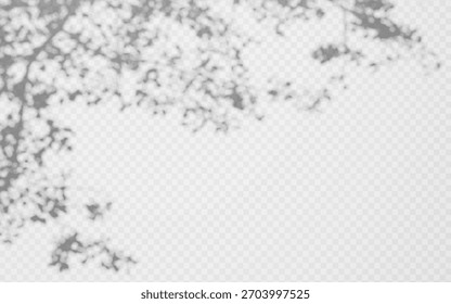 As sombras ramificadas se sobrepõem com silhuetas de folhagem no fundo branco transparente. Padrão de sombra de árvore natural com folhas delicadas criando luz orgânica e efeito de sombra para projetos de design