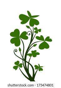 Branch of shamrock. Vector illustration.