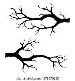 Branch silhouette.