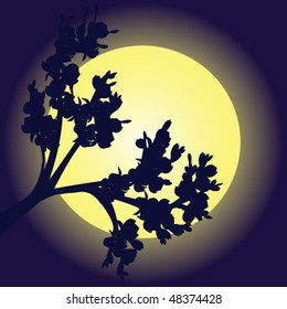 Branch silhouette in moon's light