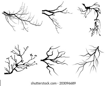 branch Silhouette shapes