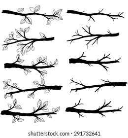 Branch Silhouettes with Leave