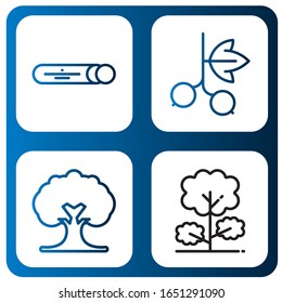 Branch Simple Icons Set. Contains Such Icons As Mint, Blackcurrant, Tree, Can Be Used For Web, Mobile And Logo