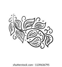 Branch. Sketch. Vector illustration