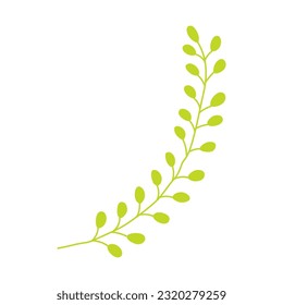Zweig mit kleinen Blättern, handgezeichnete Grasgrafik. Flaches Cartoon-Design, einzelne Vektorgrafik. Tropisches Laub, Vegetation, Farn, Frond, Regenwaldpflanze, Dschungelflora, botanisches, florales Element