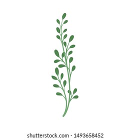 Branch with small leaves. Vector illustration on a white background.