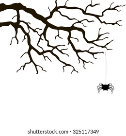 branch and spider, hand drawn monochrome silhouette vector illustration