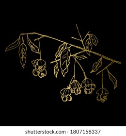Branch of spindle tree with leaves and berries. Euonymus plant. Hand drawn linear sketch. Golden silhouette on black background. svg