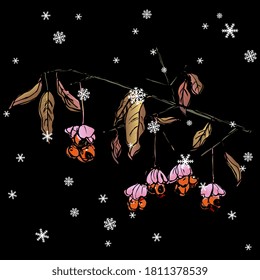 Branch of spindle tree with leaves and berries under snowflakes. Euonymus plant. Hand drawn colorful sketch. svg