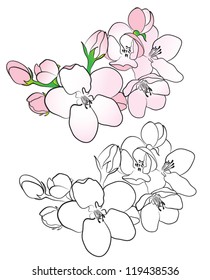Branch with spring blooming flower