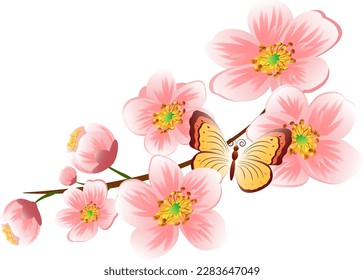 Rama con flores primaverales. Rama de árbol de frutas vectoriales realista. Elemento de arte clip detallado dibujado a mano aislado en fondo blanco para tu diseño, postales, publicidad, publicaciones en medios sociales o más.