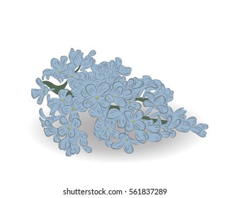 branch spring flowers. vector illustration.