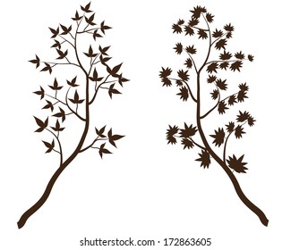 Branch of spring tree isolated on white background