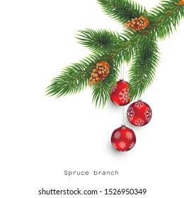 Branch of spruce with red balls on a white background.