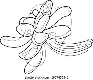 Branch of succulents made in vector