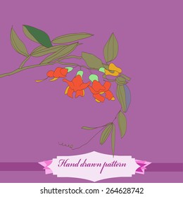 Branch of  sweet pea,colored flowers, leaves, label. Hand drawn.