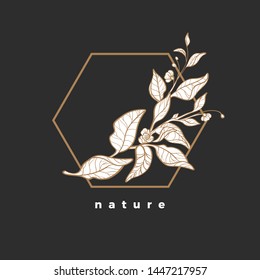 Branch of tea bush. Vector design in geometric frame.  Art line nature symbol. Elegant bio card Natural leaf, flower. Herbal drink, organic food. Simple organic logo