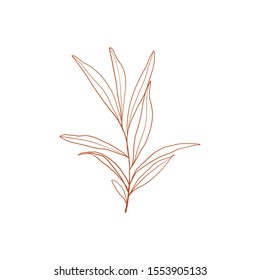 Branch of tea plant vector illustration. Scratch board style imitation. Hand drawn image. vector silhouette of the plant of the cowberry on white background
