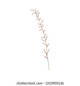 Branch of tea plant vector illustration. Scratch board style imitation. Hand drawn image. vector silhouette of the plant of the cowberry on white background